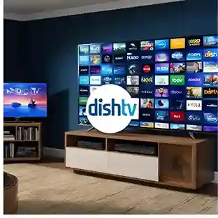 The Future of Television