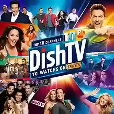 Top 10 Channels to Watch on DishTV